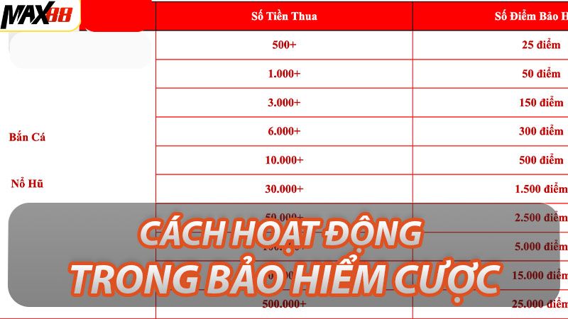 Những chính sách và điều kiện về bảo hiểm cá cược  